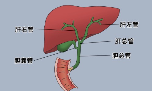 建水共享电单车-眼脸沉重是什么症状图片专区_天津格林国际幼儿园学费专区_眼脸沉重是什么症状网